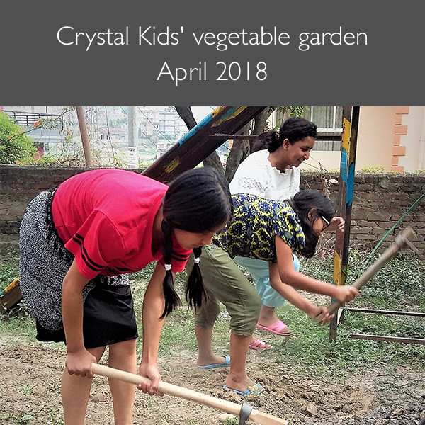 Crystal Kids' vegetable garden